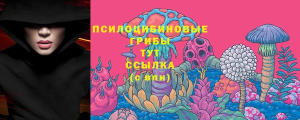 a pvp Горнозаводск