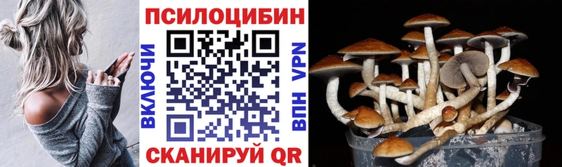 блэк спрут маркетплейс  Емва  Галлюциногенные грибы мицелий 